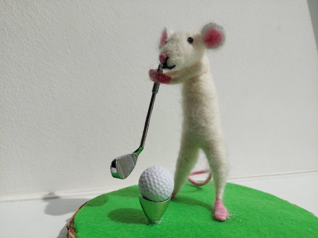 Myši sportovci
